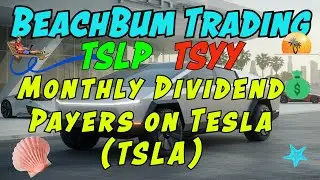 Monthly Dividend Payers on Tesla (TSLA) | TSLP | TSYY