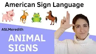 Learn to sign farm and zoo ANIMALS in American Sign Language (ASL)