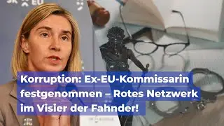 Korruption: Ex-EU-Kommissarin festgenommen - Rotes Netzwerk im Visier der Fahnder