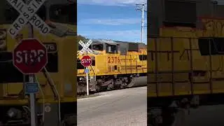 I&o northbound ex up Sd60m coming through Springfield Ohio 2376 2443  2388