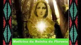 Senhora da Floresta :: Edi&ccedil;&atilde;o Claudio Sampaio
