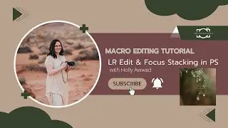Winter Macro Editing and Focus Stacking Tutorial using Lightroom and Photoshop