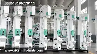 TDTG Bucket Elevator Conveyor | Continuous Bucket Elevator for Sale #bucketelevator #bucketconveyor