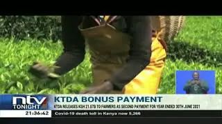 KTDA releases KSh. 21.57B to farmers as second payment for the year