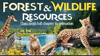 Forest and Wildlife Resources class10 session 2023-24  based on NCERT pattern