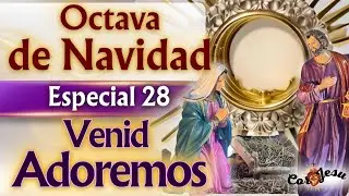 🎄❤️‍🔥 PROGRAMA ESPECIAL OCTAVA DE NAVIDAD | 28 DE DICIEMBRE🕯️🔴