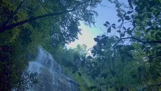 Mingo Falls Cherokee, NC, 2019.08.21