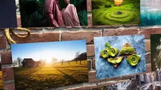 AR Gallery loop