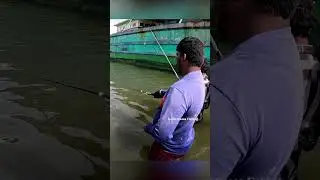 Deadly Triple Hook Setup 🎯 Maida Bait Mullet Fish Catch in River  #fishing #handfish #fish