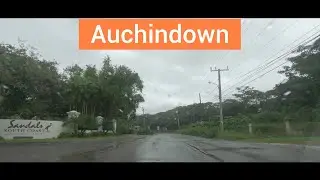 Auchindown, Westmoreland, Jamaica