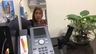 (SLS54) Madam Gold fish Live Birth...