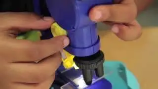 How to Use 300x Microscope - Scientists of Tomorrow