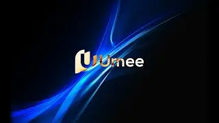 Обзор нового крипто-протокола Umee