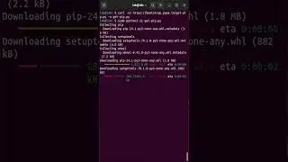 How to install PIP | Ubuntu
