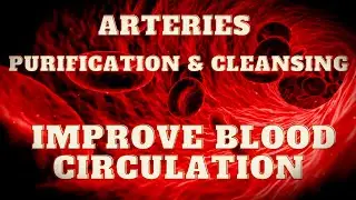 Improve Blood Circulation - Arteries Purification & Cleansing - Cure Peripheral Arterial Disease