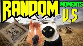 Random moments [v.5] Тупая лошадь, чертов кот, ящики убийцы (mw 2019, vermintide 2, rdr 2)