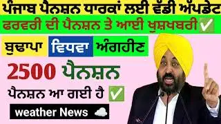 2500 ਪੈਨਸ਼ਨ #2500Pension #pension #bhagwantmann #oldagepension #punjabinews #punjabnaws#punjabpension