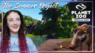 The Summer Project - Gold // Career Scenario // Planet Zoo: Tropical Pack