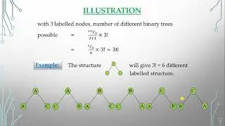 Binary Trees