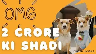 Most Expensive Pet Wedding | Dinesh Unveils