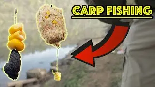 Carp Fishing Monongahela River in Pennsylvania