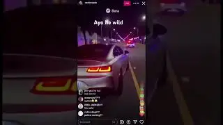 Dog steals car at street takeover