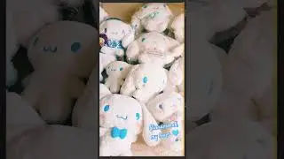 #cinnamoroll #sanrio #cinnamorollsanrio #cinnamorolllover #collection #cute #fluffycloud #kawaii