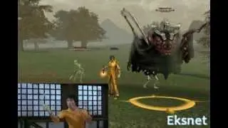 Удар Брюс Ли в Lineage 2
