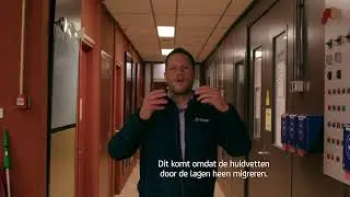 Schildertip Sigma S2U Nova. Wat is de juiste voorbehandeling om huidvetten te verwijderen?