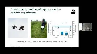 14  Jeremy Wilson   Improving conservation management through experiments
