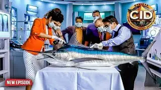खतरनाक मिशन – Dr Salunke ने शार्क का किया खौफनाक ऑपरेशन | CID | New Episode 2025