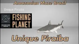 Unique Piraiba - Amazonian Maze Brazil - Fishing Planet Guide
