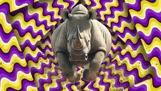 Coaching &eacute;motionnel: Es tu une vache ou un rhinoc&eacute;ros ?