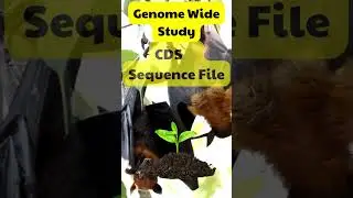 CDS file #bioinformatics #shorts #foryour