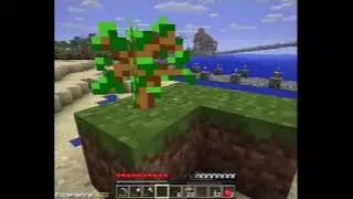 MC Paladin SMP: Singleplayer - Beta 1.21 VHS [12]
