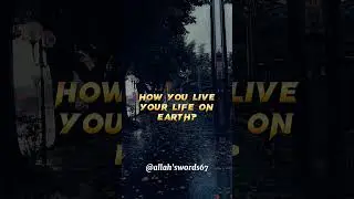 Questions that Allah will ask you on the day of judgment...🕋☪️ #islam #allah #love #freepalestine 🇵🇸