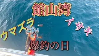 館山湾イサキ爆釣の日