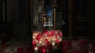 STUNNING Notre Dame Basilica Montr&eacute;al ✝️🇨🇦 #Canada #quebec #notredamebasilica #montreal #shorts
