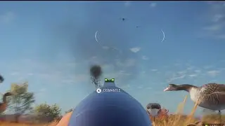 Nice duck hunt that turned into a goose hunt on the new small game map!