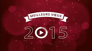 Meilleurs Voeux 2015