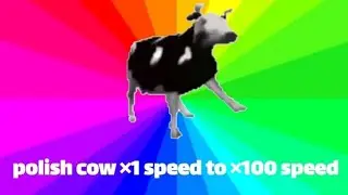 polish Cow meme &times;1 speed to &times;100 speed