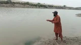 Epic River Fishing Adventure on River Chenab | Big Fish Caught from the Bank!