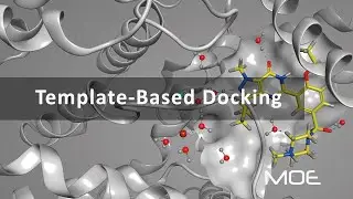 Template-Based Docking