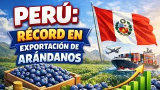 Perú: record en exportación de arándanos