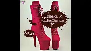 Cheeky X Pole Dance Boots 8-Inch Heels CKYX17