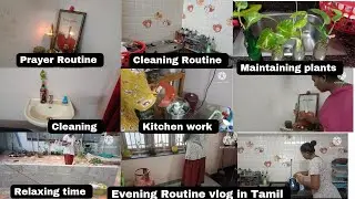 #Vlog21 My Evening Routine vlog in Tamil || Kitchen Cleaning || washbasin Cleaning || Prayer Time