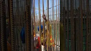 Core wall rebar installations #shorts #construction #skills #youtubeshorts