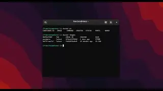 NixOS: installing docker.