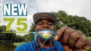 WHOPPER PLOPPER 75 TRIAL RUN !!! UNEXPECTED RESULTS