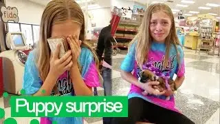 Girl Surprised with Adorable New Puppy | Cute Pets